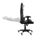 Gaming chair Premium 916, black with white