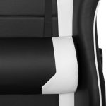 Gaming chair Premium 916, black with white