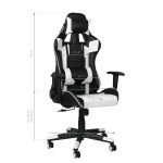 Gaming chair Premium 916, black with white