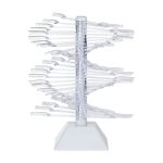 Palette of tips for exposure of varnishes WZ23 60 pcs