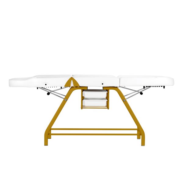 Cosmetology bed-chair for beauty procedures 557G, white-gold color