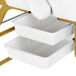 Cosmetology bed-chair for beauty procedures 557G, white-gold color