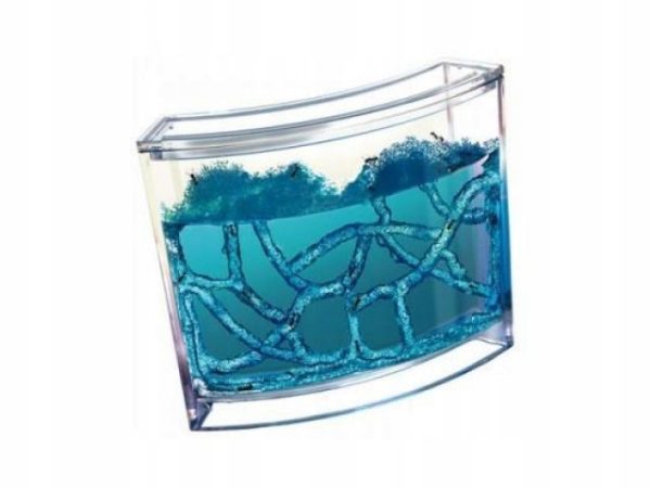 Educational gel aquarium for ants