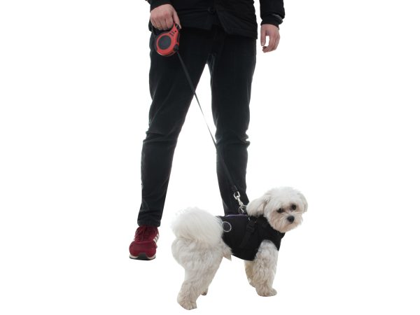 Automatic strap leash 5m for dogs up to 14kg red