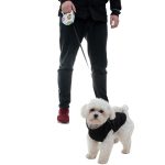 Automatic belt leash 5 m
