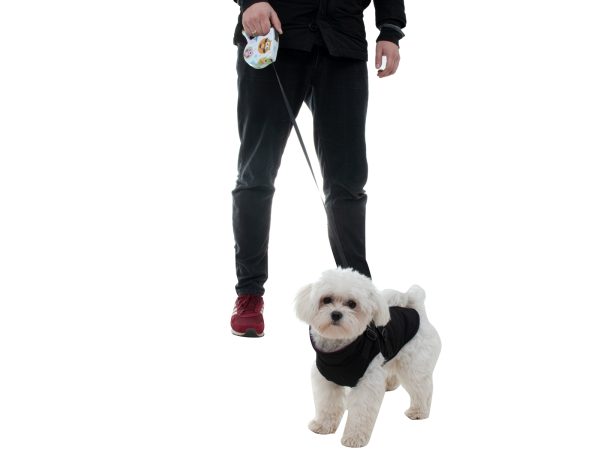 Automatic belt leash 5 m