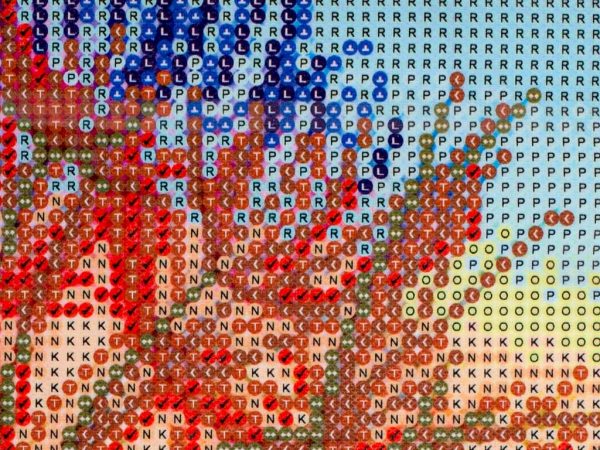 Diamond embroidery mosaic 5D DANDELION