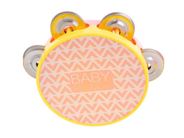 Musical instruments trumpet tambourine flute