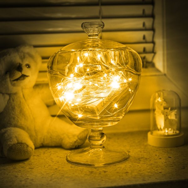 LED decorative wire lights 10m 100LED warm white