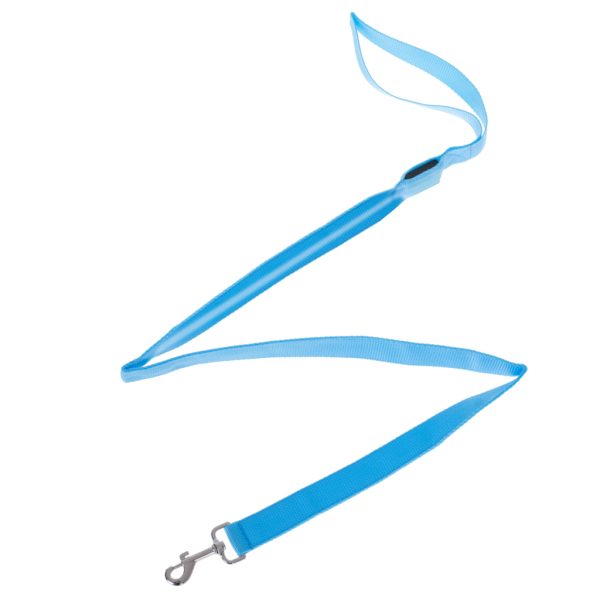 LED luminous dog leash 2.5x120cm blue