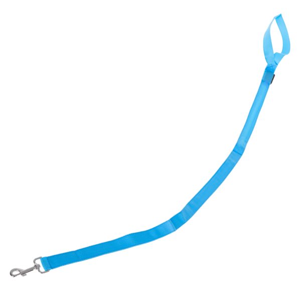 LED luminous dog leash 2.5x120cm blue