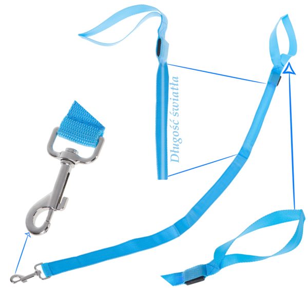LED luminous dog leash 2.5x120cm blue