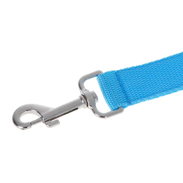 LED luminous dog leash 2.5x120cm blue