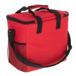 Thermal bag for lunch beach picnic 16l red