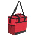 Thermal bag for lunch beach picnic 16l red