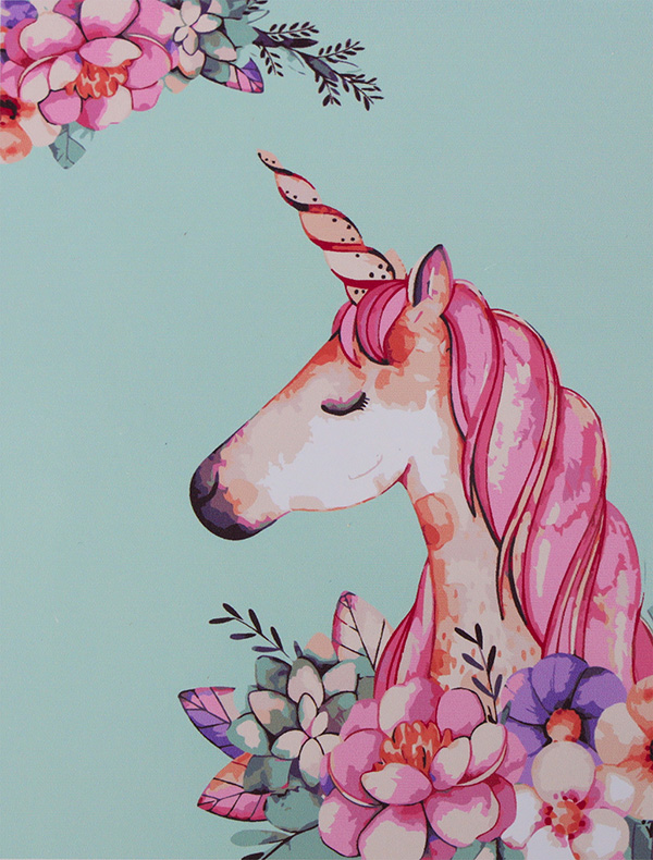 Painting by numbers 40x50cm unicorn