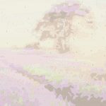 Painting by numbers 50x40cm lavender field