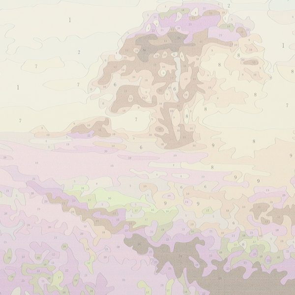 Painting by numbers 50x40cm lavender field