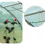Garden greenhouse 3 X 2 X 2 cm