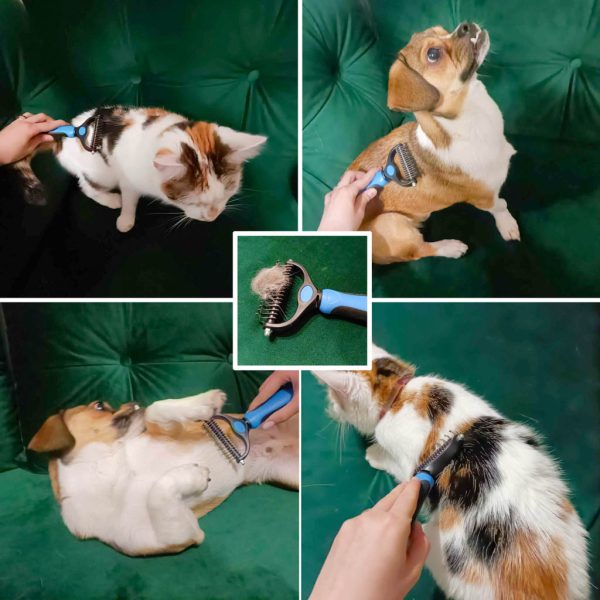 Dog cat grooming slicker brush