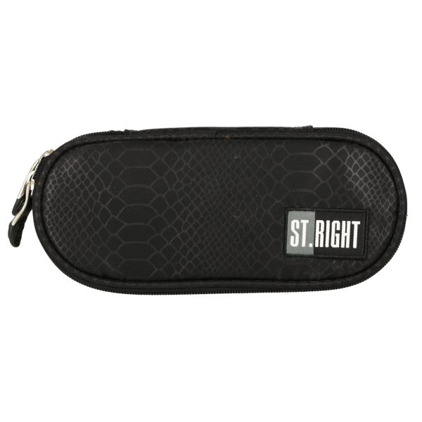Padded sachet pencil case with flap Shiny Snake