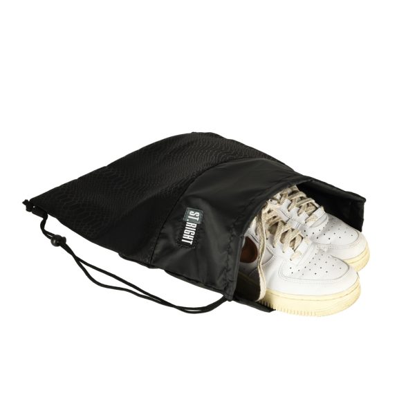 Shiny Snake children's shoe bag
