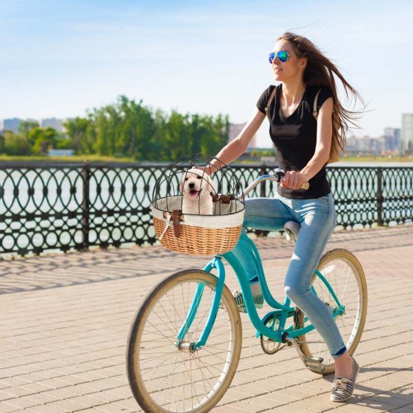 Rattan bicycle basket with metal frame