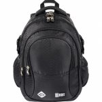 Shiny Snake 4 compartment 17 inch school backpack