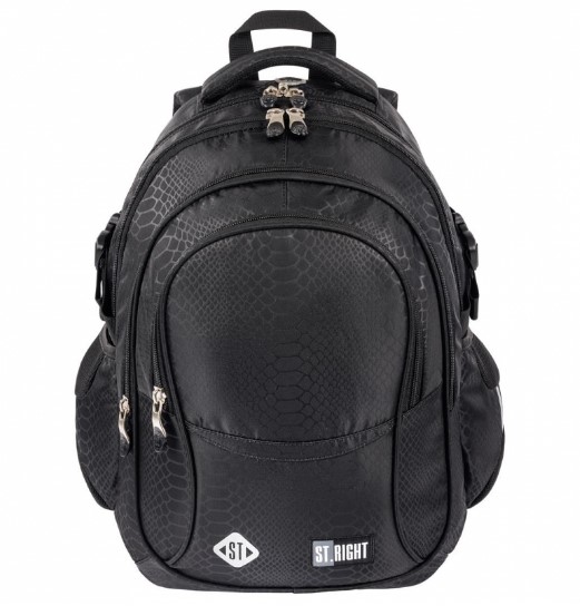 Shiny Snake 4 compartment 17 inch school backpack