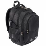 Shiny Snake 4 compartment 17 inch school backpack