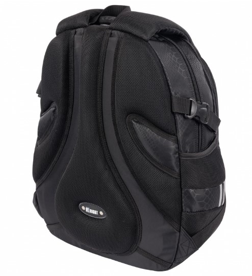 Shiny Snake 4 compartment 17 inch school backpack