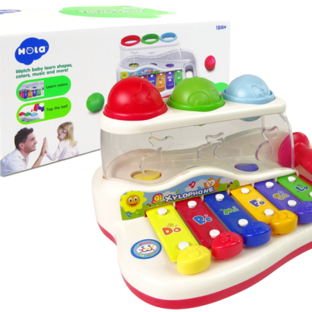 Educational Dulcimer for Toddler Hammer Colourful Balls