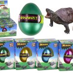 Hatching Magic Turtle Egg Growing 6 cm.
