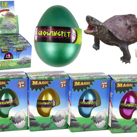 Hatching Magic Turtle Egg Growing 6 cm.