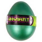 Hatching Magic Turtle Egg Growing 6 cm.