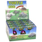 Hatching Magic Turtle Egg Growing 6 cm.
