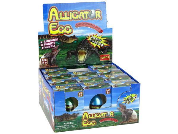 Growing Crocodile Alligator Egg 6cm