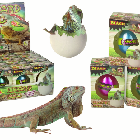 Hatching Magic Lizard Egg Growing 6 cm.