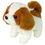 Dog Grooming Kit for Kids Green