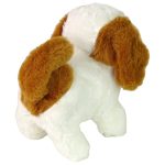 Dog Grooming Kit for Kids Green