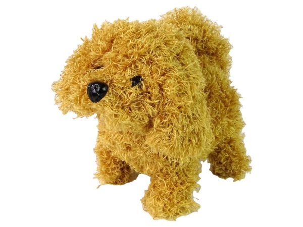 Veterinarian Blue Dog Care Kit