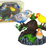 Singing moving parakeets Colorful tree