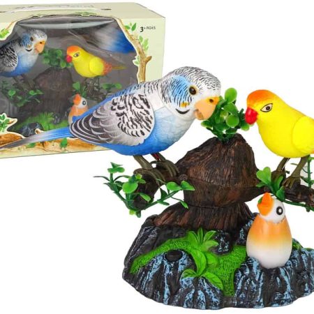 Singing moving parakeets Colorful tree