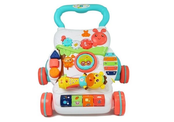 Educational Pusher for a Baby with an Interactive Microphone