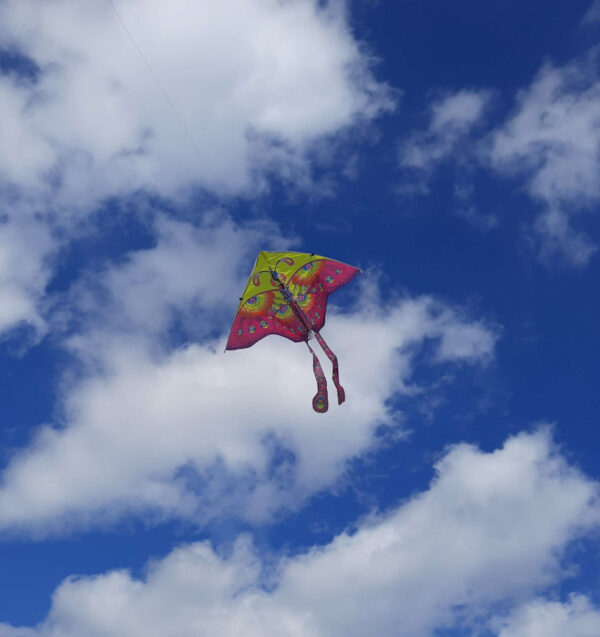Kite large 90cm butterfly purple