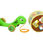 Turtle On Wheels Wooden Block Sorter